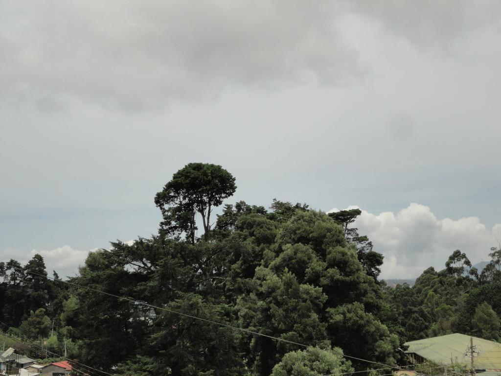 Srihelyes Inn Nuwara Eliya Exteriér fotografie
